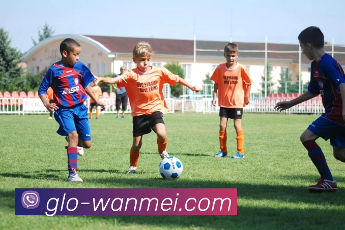 完美体育投注平台平台生态图